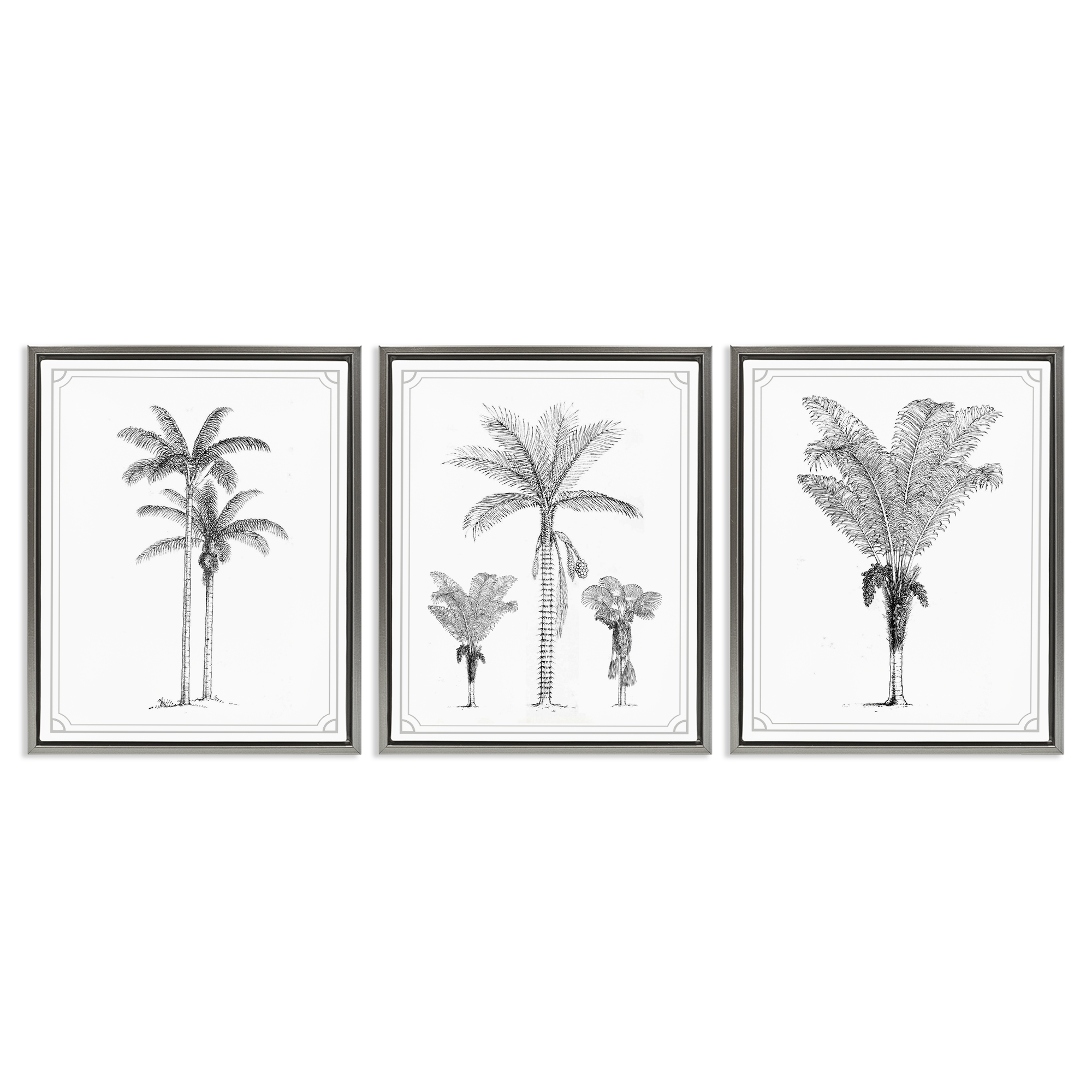 Minimal Vintage Palm Tree Sketches 3 Piece Gray Framed Floater Canvas Set, design by Lettered and Lined