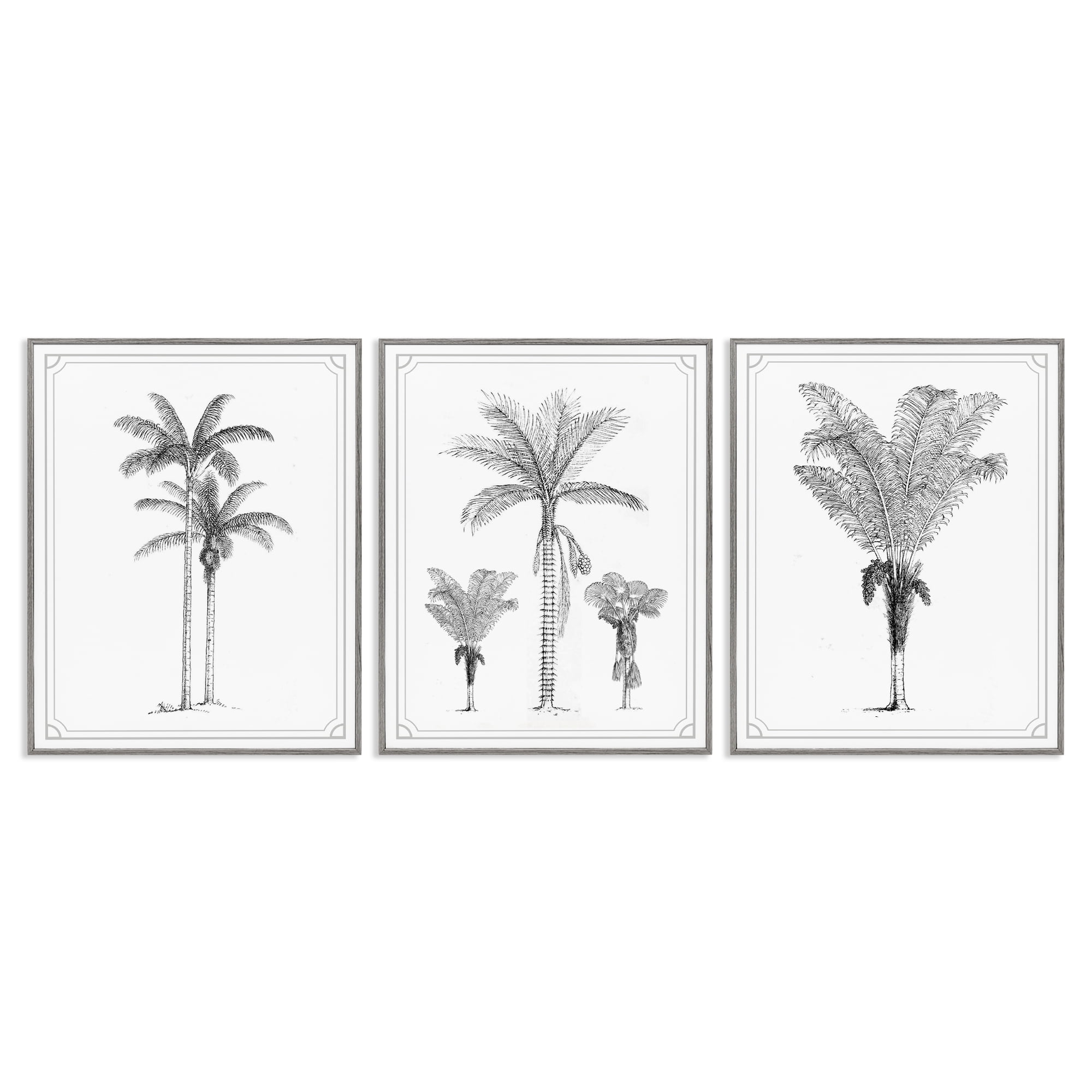 Minimal Vintage Palm Tree Sketches 3 Piece Gray Framed Giclee Art Set, design by Lettered and Lined