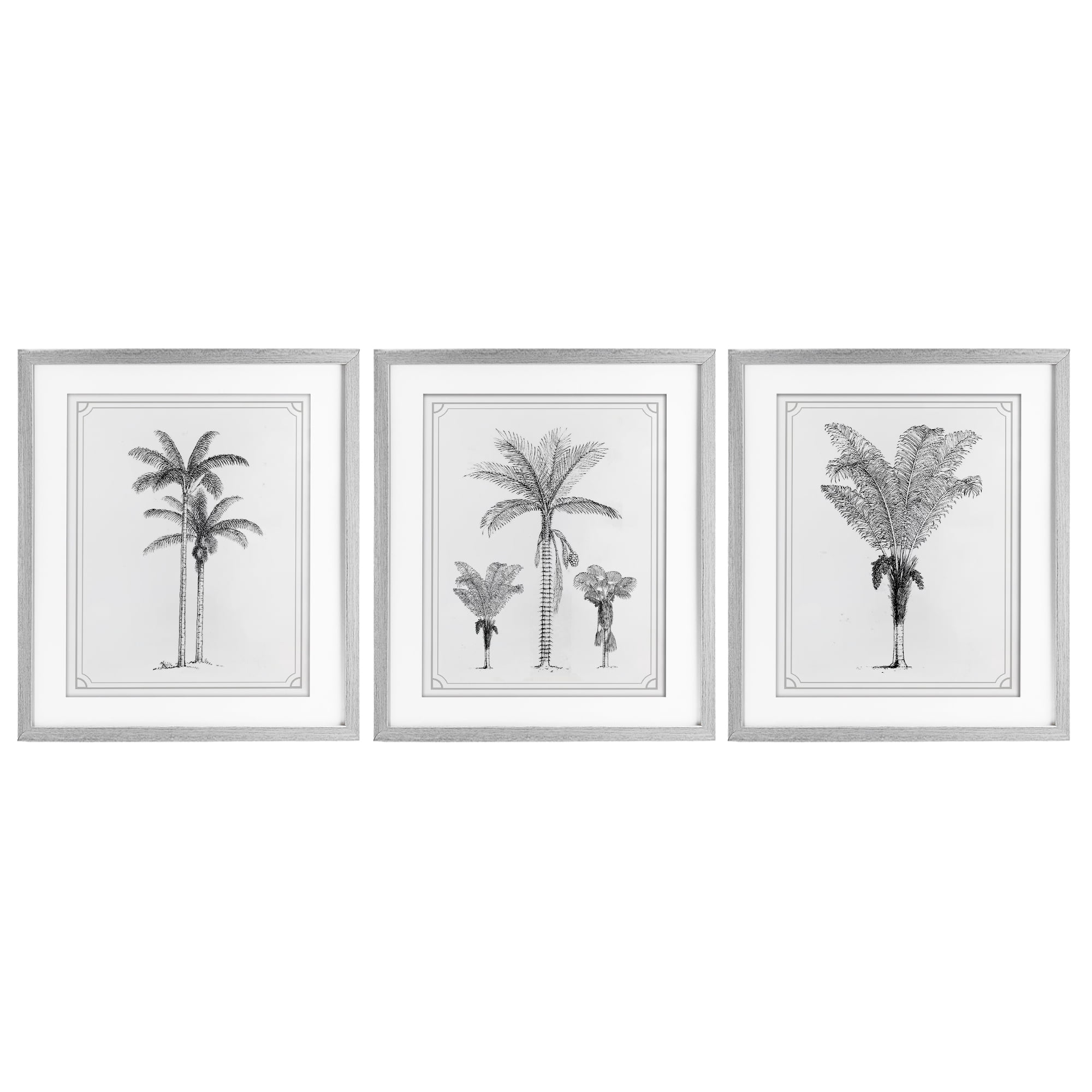 Minimal Vintage Palm Tree Sketches 3 Piece Gray Framed Print Under Glass Set, design by Lettered and Lined