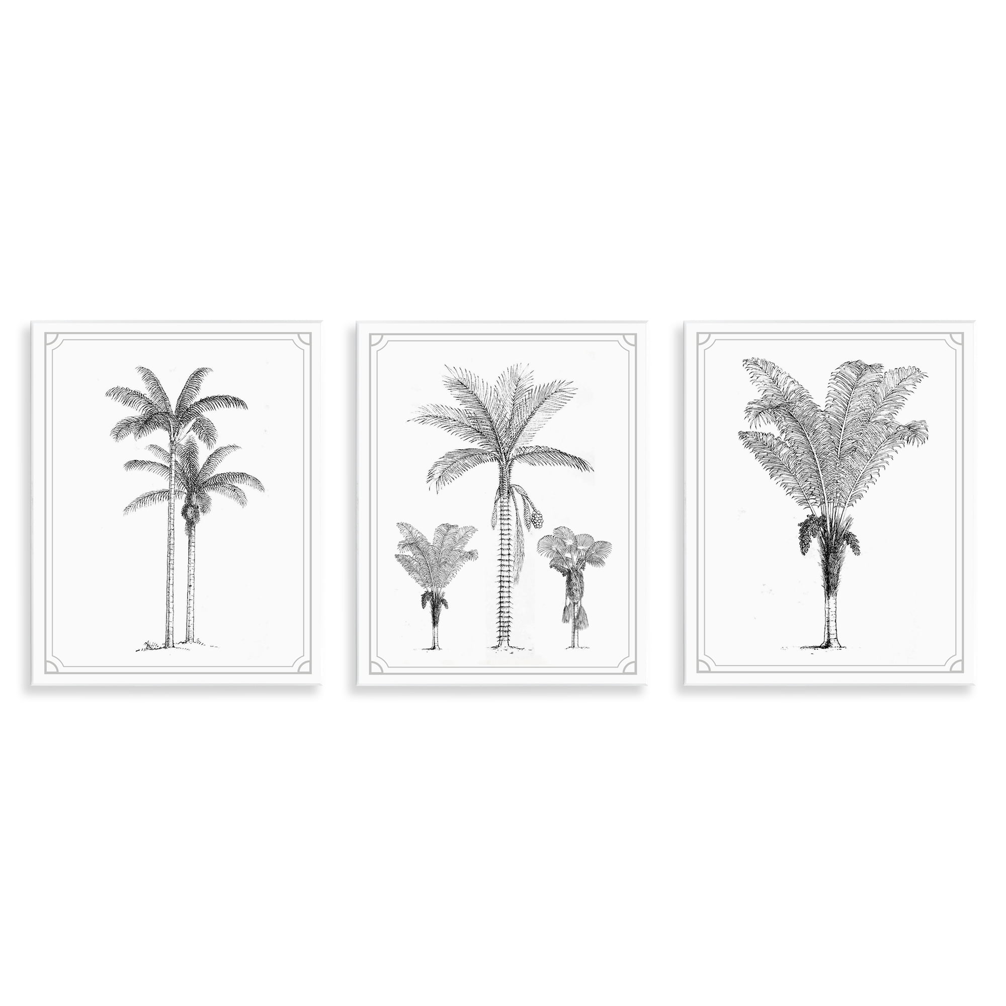 Minimal Vintage Palm Tree Sketches 3 Piece Wall Plaque Art Set, design by Lettered and Lined