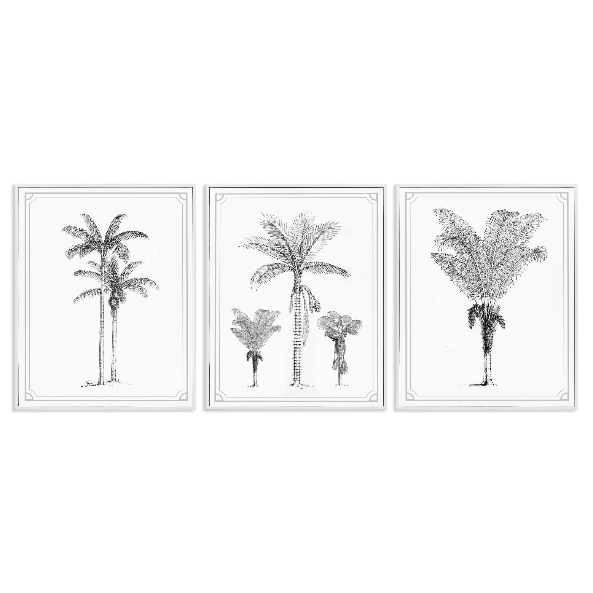 Minimal Vintage Palm Tree Sketches 3 Piece White Framed Giclee Art Set, design by Lettered and Lined