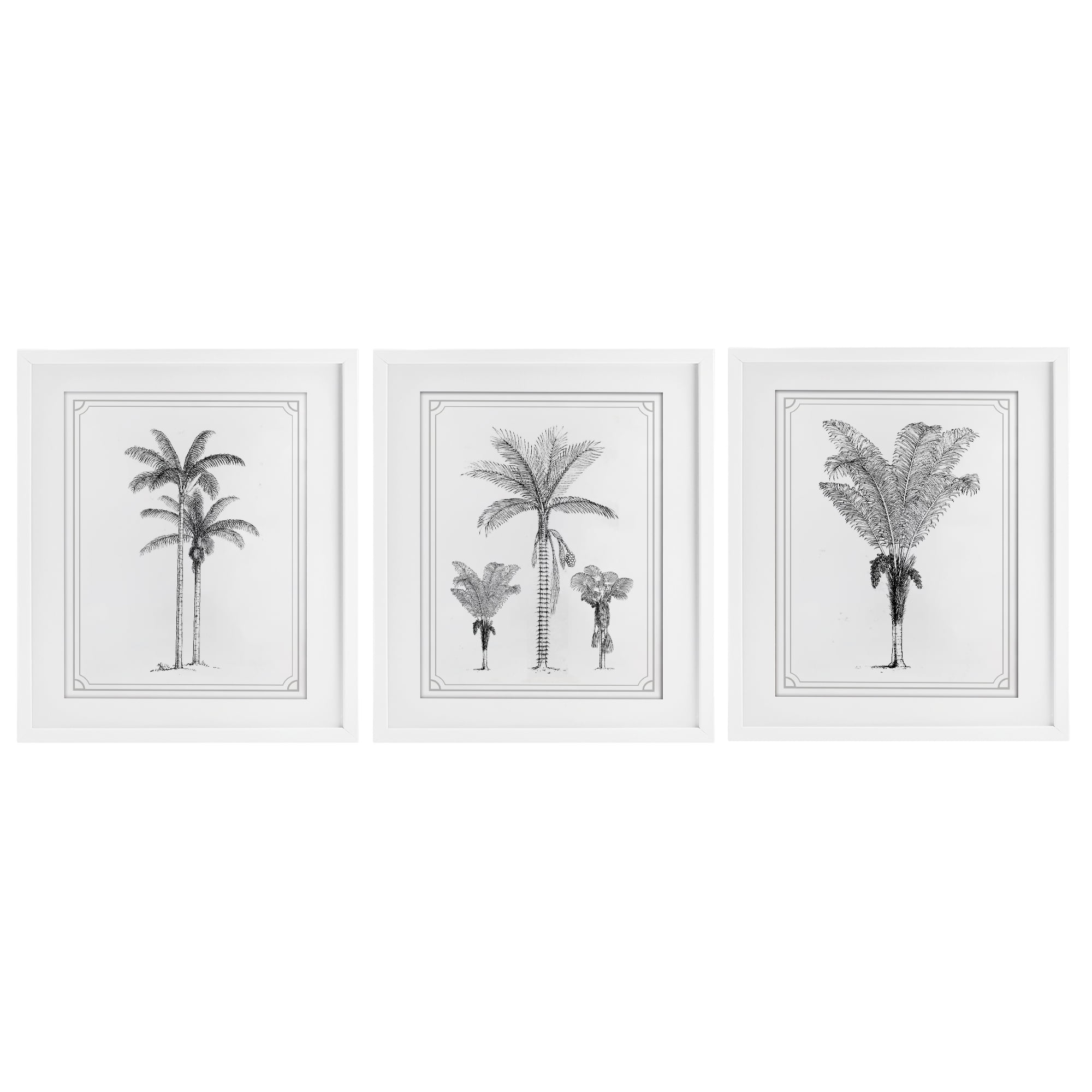 Minimal Vintage Palm Tree Sketches 3 Piece White Framed Print Under Glass Set, design by Lettered and Lined