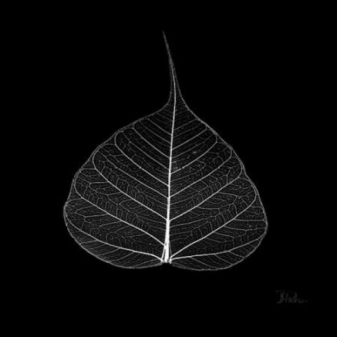 Minimalism in Black I Canvas Art - Patricia Pinto (24 x 24)