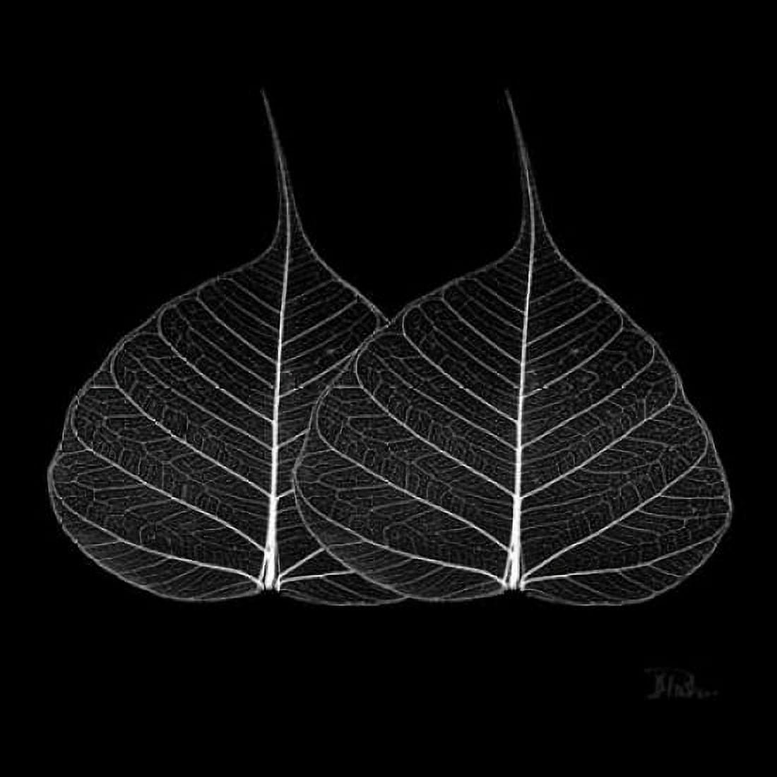 Minimalism in Black II Canvas Art - Patricia Pinto (24 x 24)