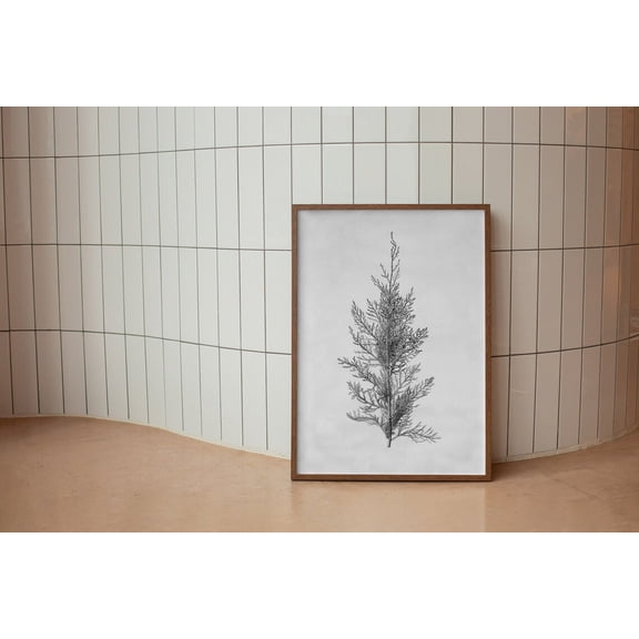 Minimalist Antique Tree Sketch Art, Neutral Landscape Drawing Wall Art, , 152 Home Decor #333, Unframed Canvas Size 24x36