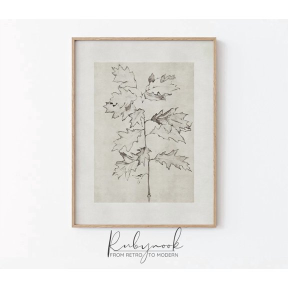 Minimalist Botanical Leaf Line Unframed Paper Print