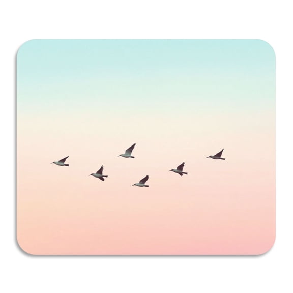 Minimalist Flying Birds Pattern Diatomaceous Earth Water Absorbent Mat, Anti-Slip Rubber Backing, 15.7" x 11.8"