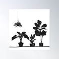 thumbnail image 1 of Minimalist Monochrome Houseplants Poster Wall Art, Modern Wall Decor For Living Room Bedroom, 16x16 UNFRAMED, 1 of 3