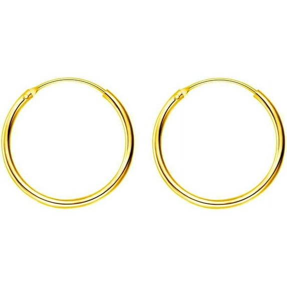 Minimalist Thin Endless Hoop Earrings Sterling Silver 925 Simple Small Cartilage Huggie Hoops Tragus Earring Ear Piercing Nose Rings Studs 14mm 16mm 18mm 20mm Fashion Jewelry for Women Men BFF
