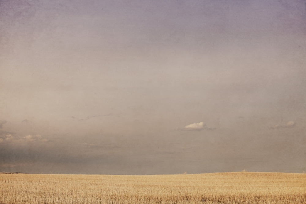 Minimalist landscape of a prairie grain stubble field alberta canada Canvas Art - Roberta Murray Design Pics (38 x 24)