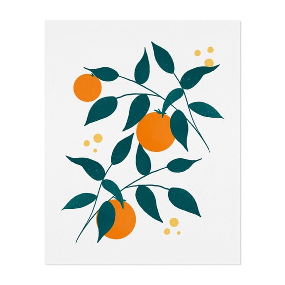 Minimalist orange tree branches - Drawing Botanical Fruit Illustration Minimalist Kitchen Decor Modern Art Nature Unframed Wall Art Print 6 x 8 inches