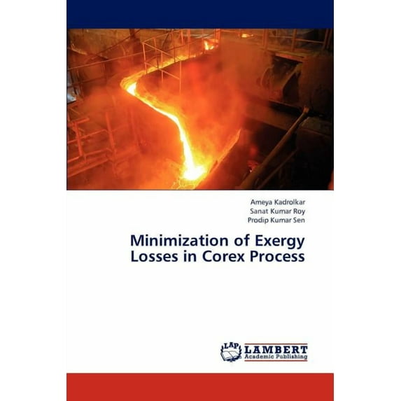 Minimization of Exergy Losses in Corex Process (Paperback)