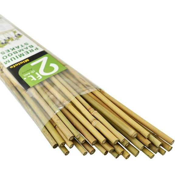 Mininfa Natural Bamboo Stakes 2 Feet, Eco-Friendly Garden Stakes, Plant Stakes Supports Climbing for Tomatoes, Trees, Beans, 30 Pack