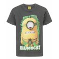 thumbnail image 1 of Minions Boys Grey Short Sleeved T-Shirt, 1 of 5