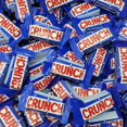 Minis Milk Chocolate & Crisped Rice Candy Bar 3 Pound Bulk Pack 125