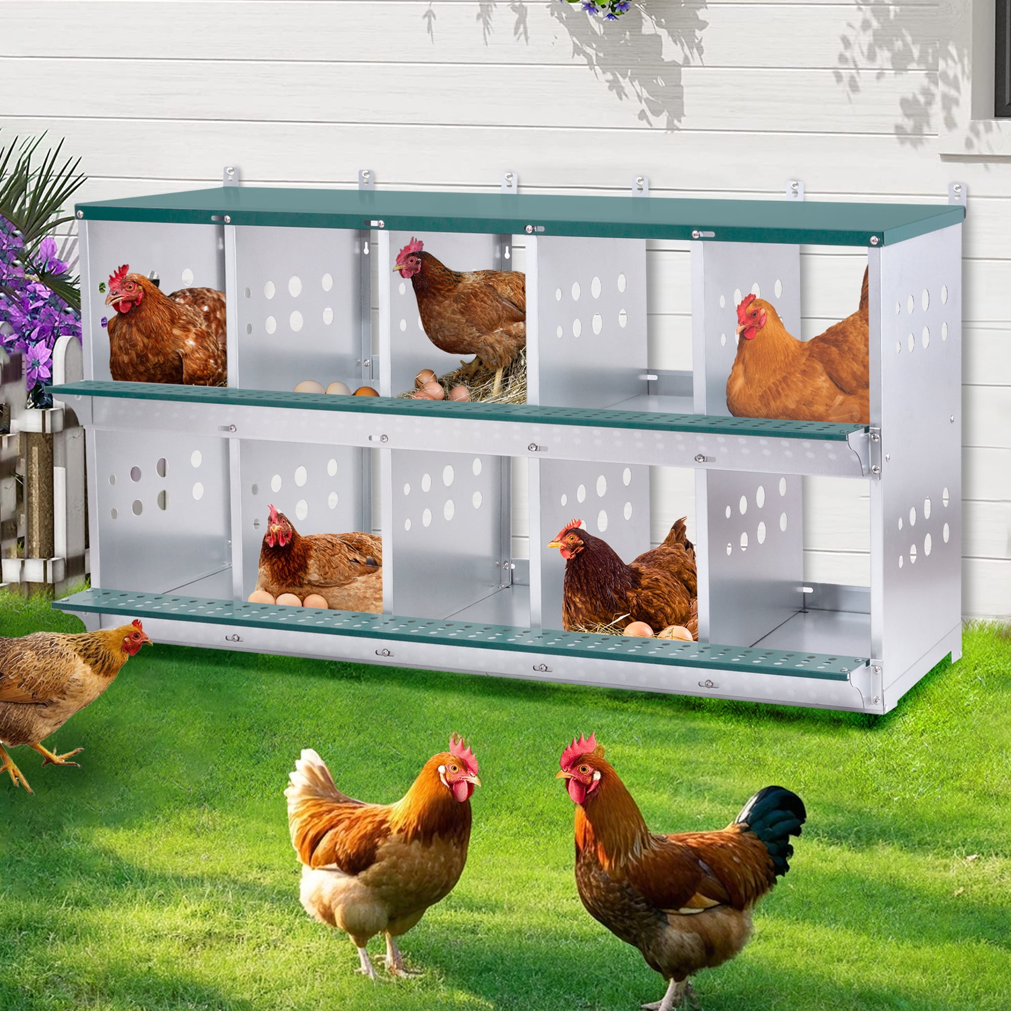 Miniyam 10-Bay Metal Nest Box-Wall Mount for Hens/Ducks, Easy Egg Collection & Assembly, Vented Galvanized Steel Coop Equipment Grenn