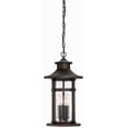 thumbnail image 1 of Minka Lavery - Great Outdoors - Highland Ridge - 4 Light Chain Hung In, 1 of 4