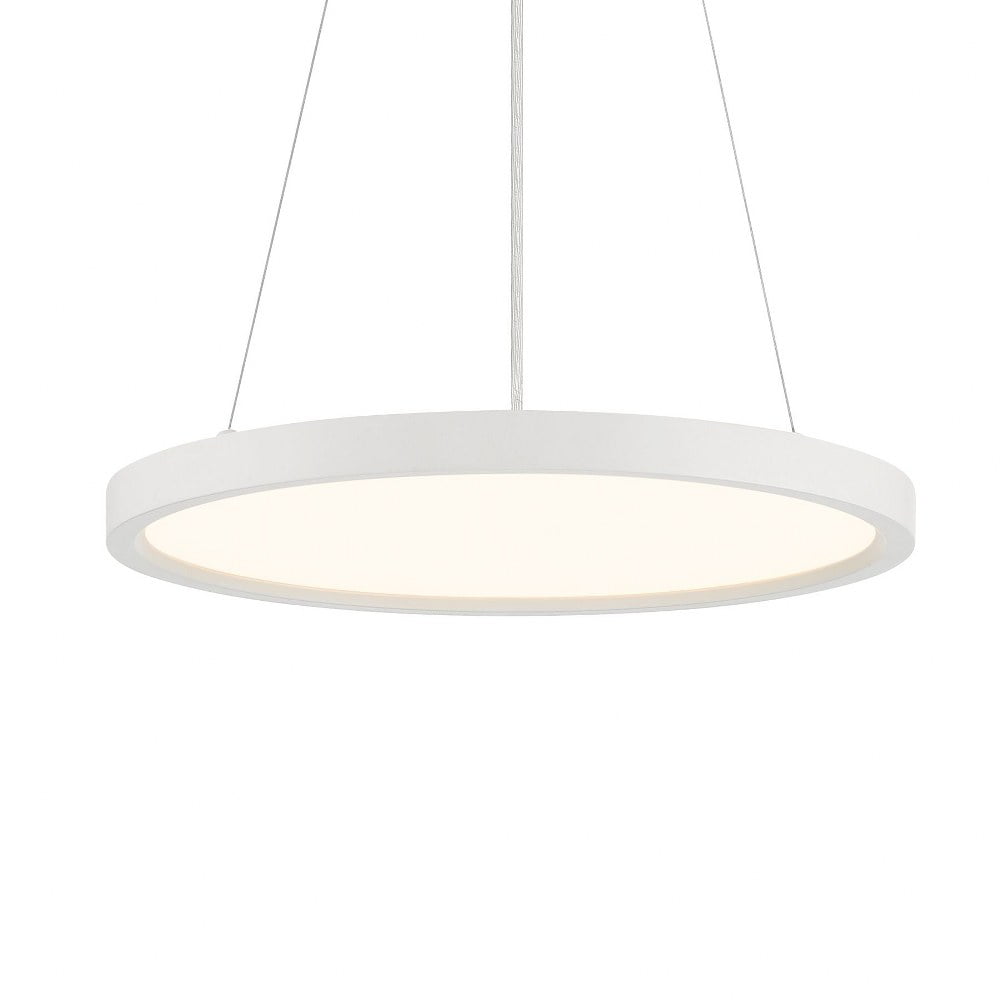 White Aluminum LED Indoor/Outdoor Pendant Light