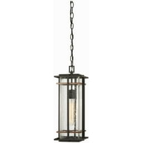 Minka Lavery - Great Outdoors - san Marcos - 1 Light Chain Hung In Transitional