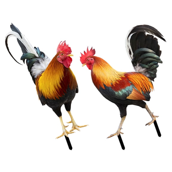 Minkissy 2Pcs Acrylic Rooster Modeling Stake For Homeowners Garden Adornment 16.7X8.3In