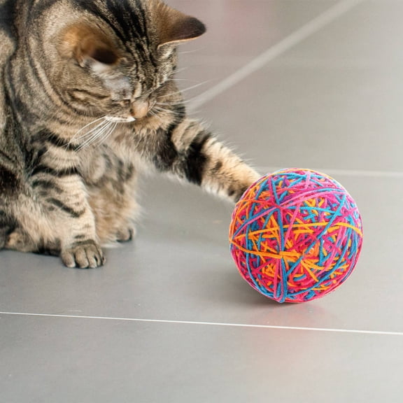 Minkissy 2Pcs Assorted Color Kitten Chasing Toy Woolen Yarn Interactive Chewing for Indoor Play