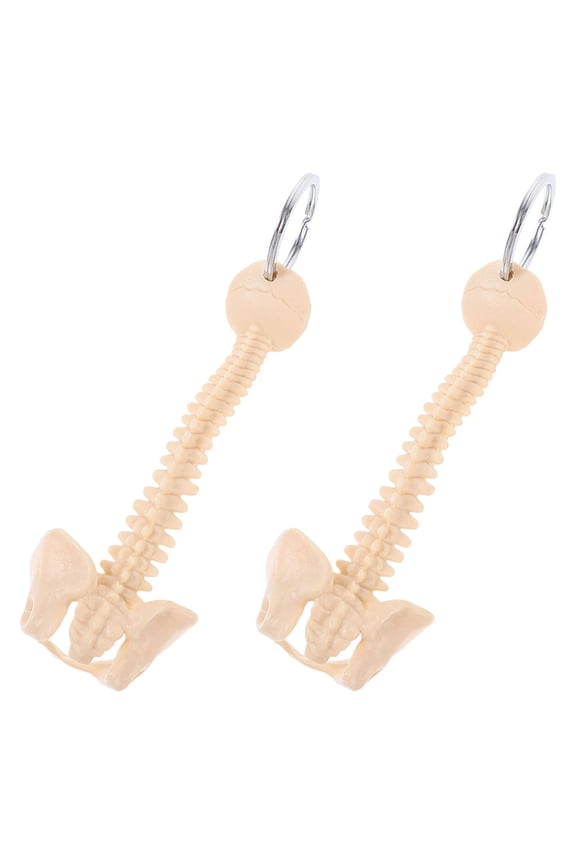 2pcs Cool Keychains Realistic Design Mini Spine Key Ring For Medical Professionals Display