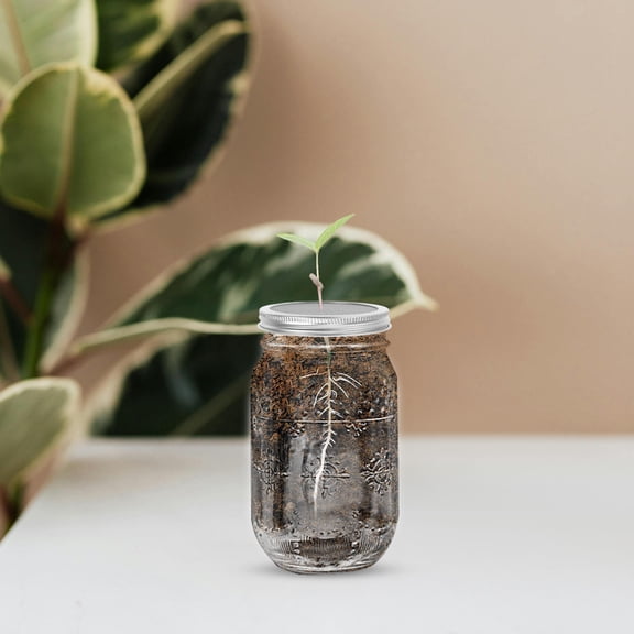 Minkissy 6 Pcs Mason Jar Sprouting Lid Stainless Steel For Drainage And Filtration