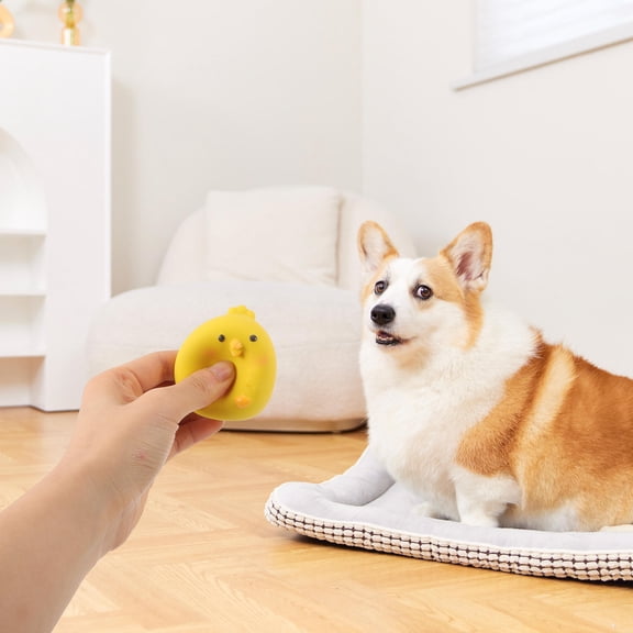 Minkissy Chew Dog Toys Puppy Chewing Toy Squeaky Outdoor Play 1Pcs