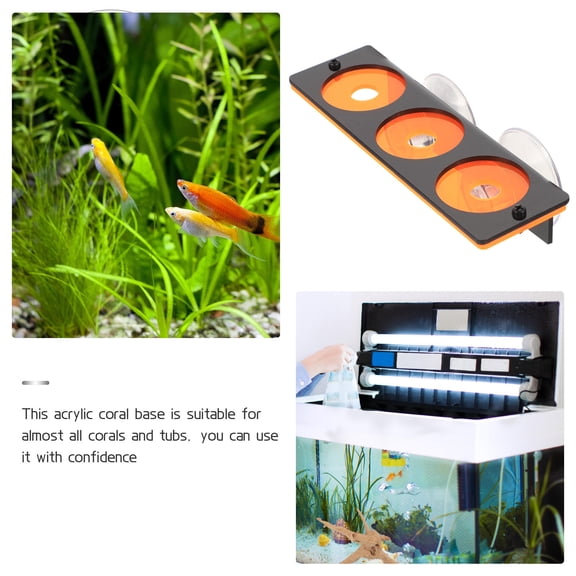 Minkissy Fish Tank Supplies Coral Holder Orange Acrylic 1Pack