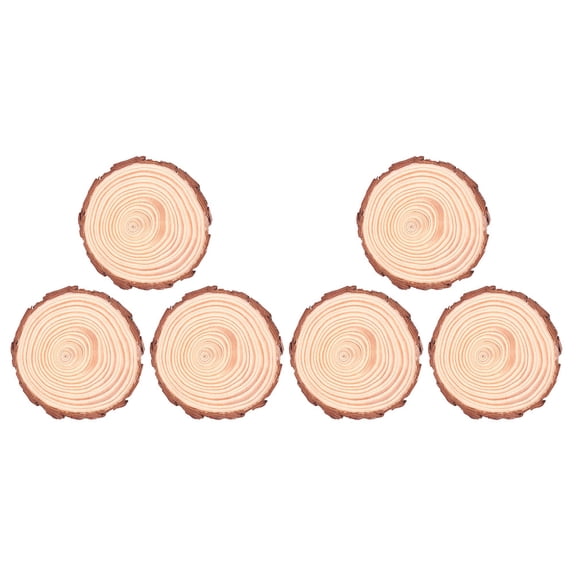 Minkissy 6Pcs Multi Color Wooden Round Slices Natural Wood Discs for Cup Holder and Craft Use