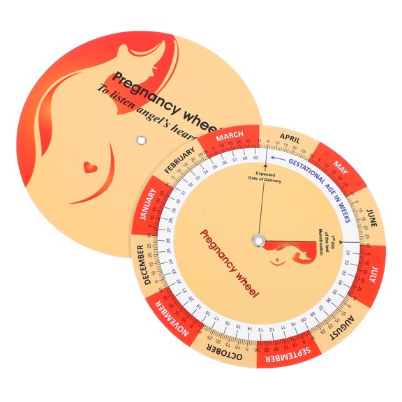 Minkissy Pregnancy Development Tracker Chart, Printed Paper Wheel for Week-by-Week Planning