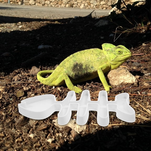 Minkissy Turtle Feeder Plate Reptile Food Dish ABS White Round Turtle Feeding Bowl 1 Pack