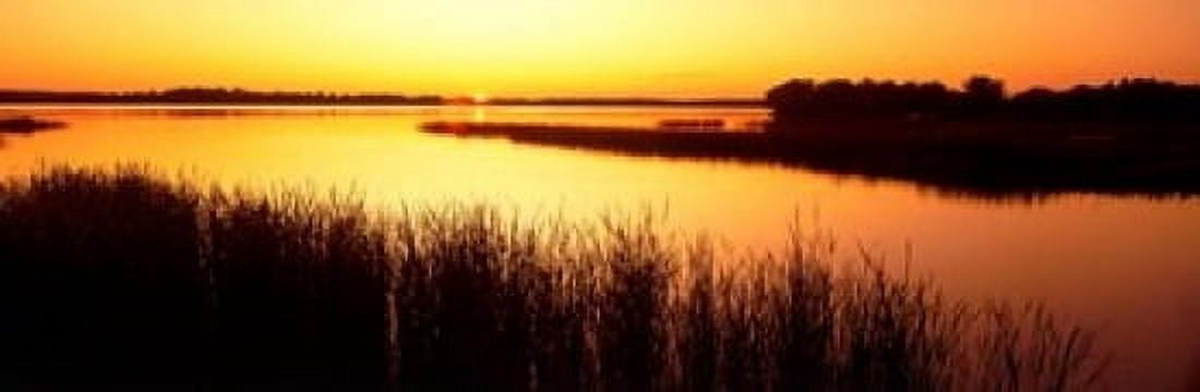 Minnesota Deer Lake Canvas Art - Panoramic Images (37 x 12)