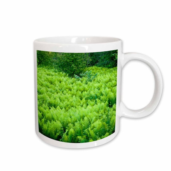 3drose, Minnesota, Gooseberry Falls Sp, Ostrich Fern Flora - Us24 Rsp0034 - Rob Sheppard, 11oz Mug