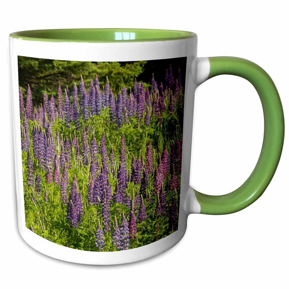 3drose, Minnesota, Near Silver Bay, Lupine Flowers - Us24 Rsp0029 - Rob Sheppard, 11oz Two-tone Green Mug