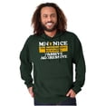 thumbnail image 1 of Minnesota Nice Funny State Slogan MN Hoodie Sweatshirt Women Men Brisco Brands M, 1 of 6