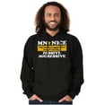 thumbnail image 1 of Minnesota Nice Funny State Slogan MN Hoodie Sweatshirt Women Men Brisco Brands S, 1 of 6