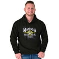 thumbnail image 1 of Minnesota North Star State MN Pride Unisex Plus Fleece Graphic Hoodie Brisco Brands 2X, 1 of 5