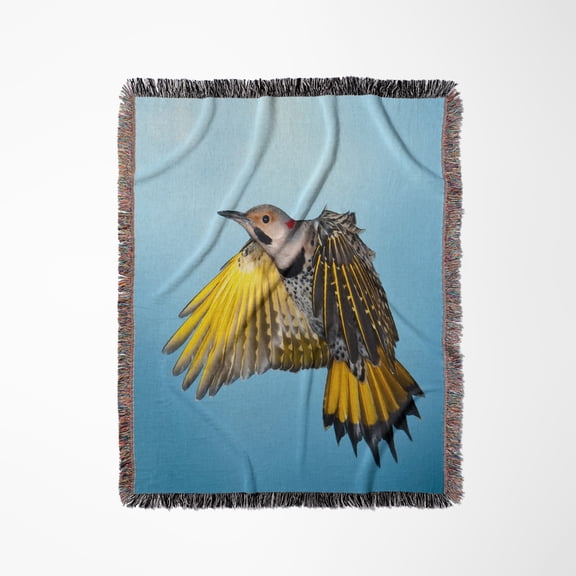 Minnesota, Northern Flicker Bird Flying - Us24 Bfr0162 - Bernard Friel, Woven Blanket