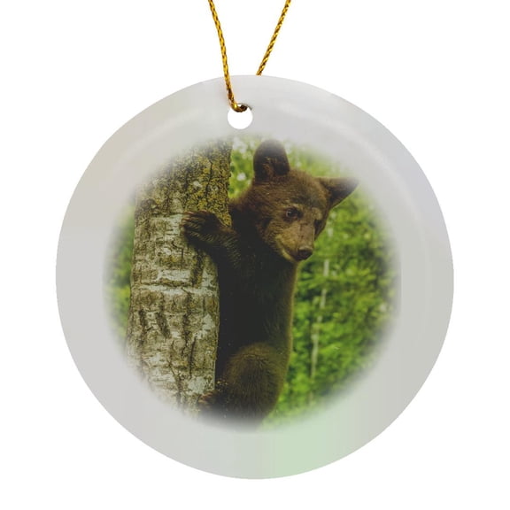 3drose, Minnesota, Pine County. Black Bear Cub Climbing Tree., Circle Porcelain Ornament