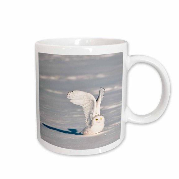 3drose, Minnesota - Snowy Owl Taking Off from Snow., 15oz Mug