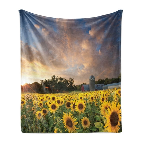 Minnesota Soft Flannel Fleece Throw Blanket, Field of Yellow Sunflowers in a Minnesota Farmland Below a Dramatic Sunset Sky, Cozy Plush for Indoor and Outdoor Use, 60" x 80", Multicolor, by Ambesonne