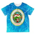 thumbnail image 1 of Minnesota Vintage Distressed State Flag All Over Toddler T Shirt Multi 2T, 1 of 2