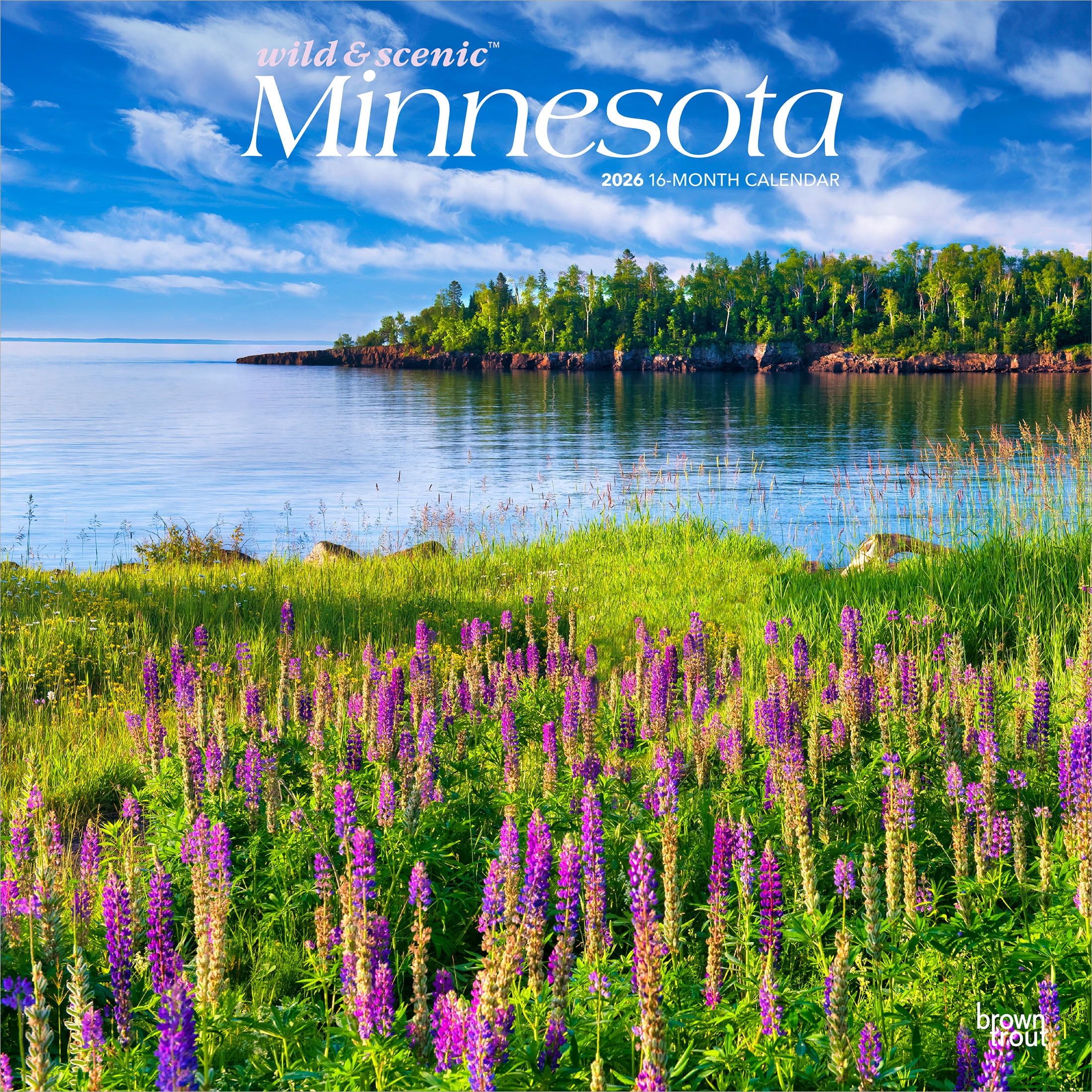 Minnesota Wild & Scenic | 2026 12x24