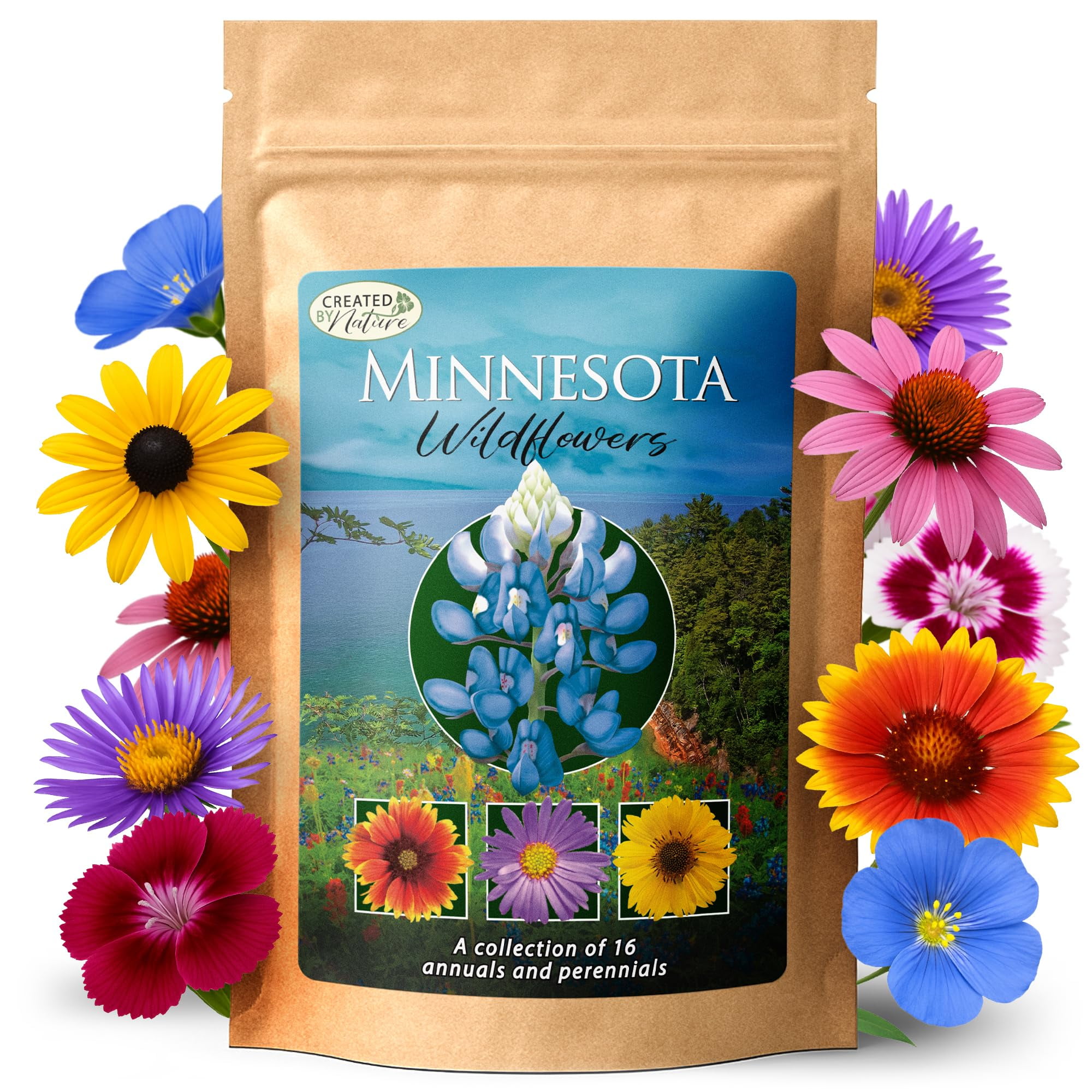 Minnesota Wildflower Seed TWE5 Mix, Covers 325 Sq Ft, 16 Flower
