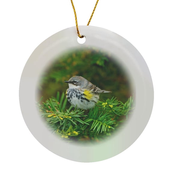 3drose, Minnesota, Yellow-rumped Warbler Perched on Branch, Circle Porcelain Ornament