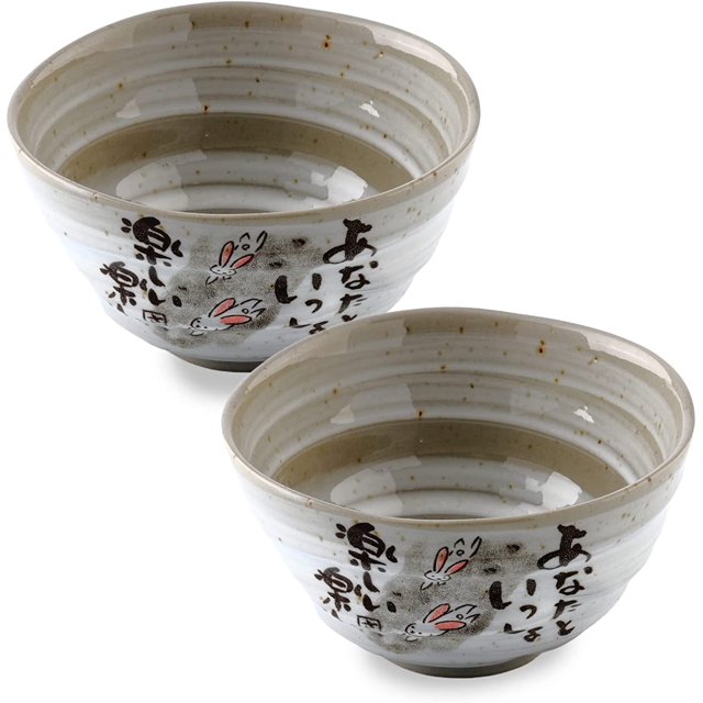 Mino Yaki Handmade Japanese Rice Bowls Set of 2, 4.5 inch Cute Rabbit