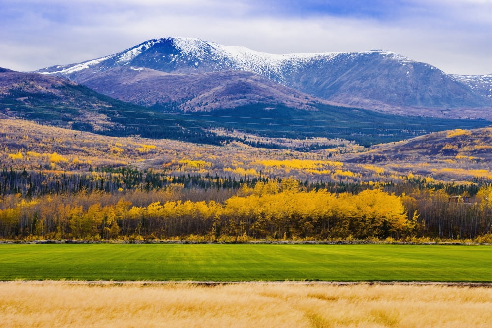 Minor Range Along Klondike Highway Yukon Canvas Art - Yves Marcoux Design Pics (17 x 11)