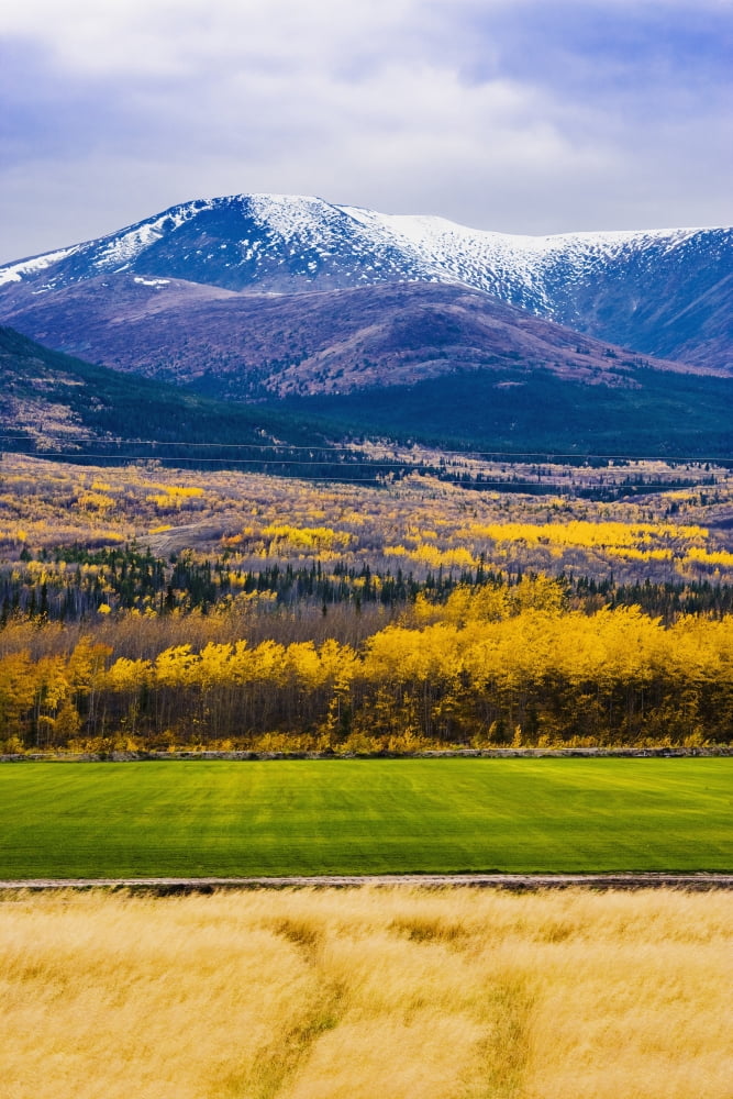 Minor Range Along Klondike Highway Yukon Canvas Art - Yves Marcoux Design Pics (22 x 34)