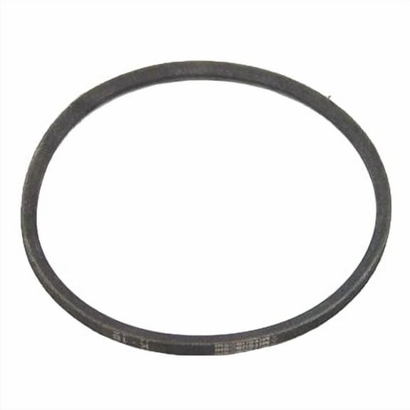 Minoura Trainer Rep Roller Belt Short F/Mag